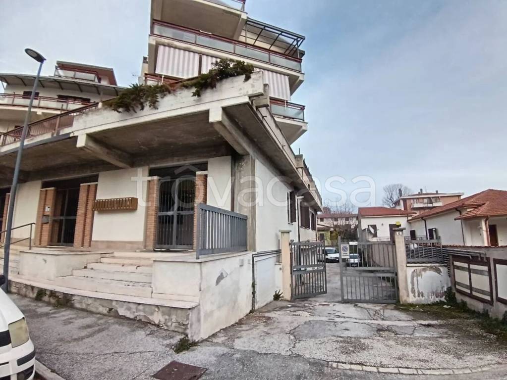 immagine annuncio 9 di 11