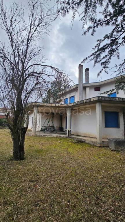 immagine annuncio 9 di 10