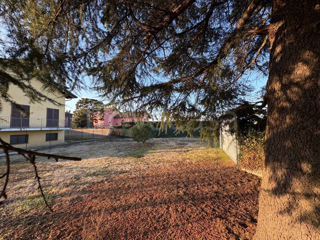 immagine annuncio 1 di 4