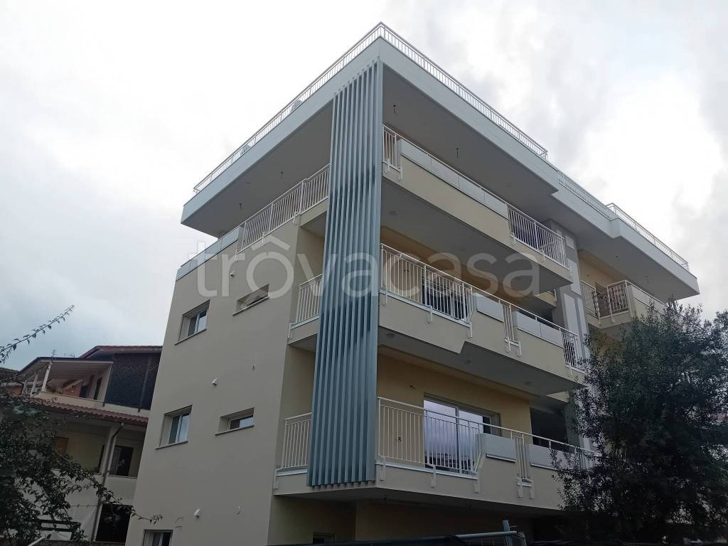 immagine annuncio 1 di 4