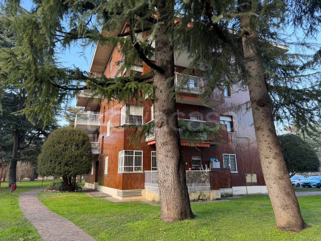 immagine annuncio 2 di 15