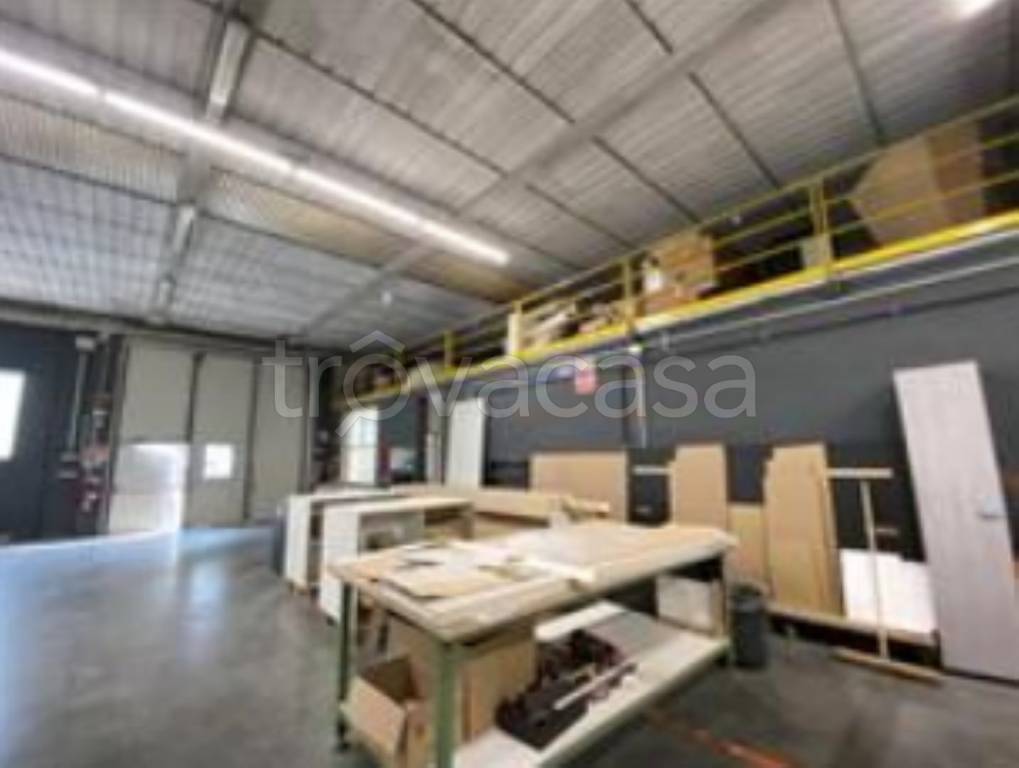 immagine annuncio 9 di 11