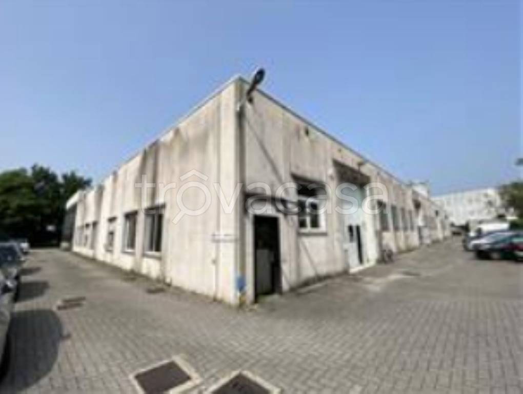 immagine annuncio 2 di 11