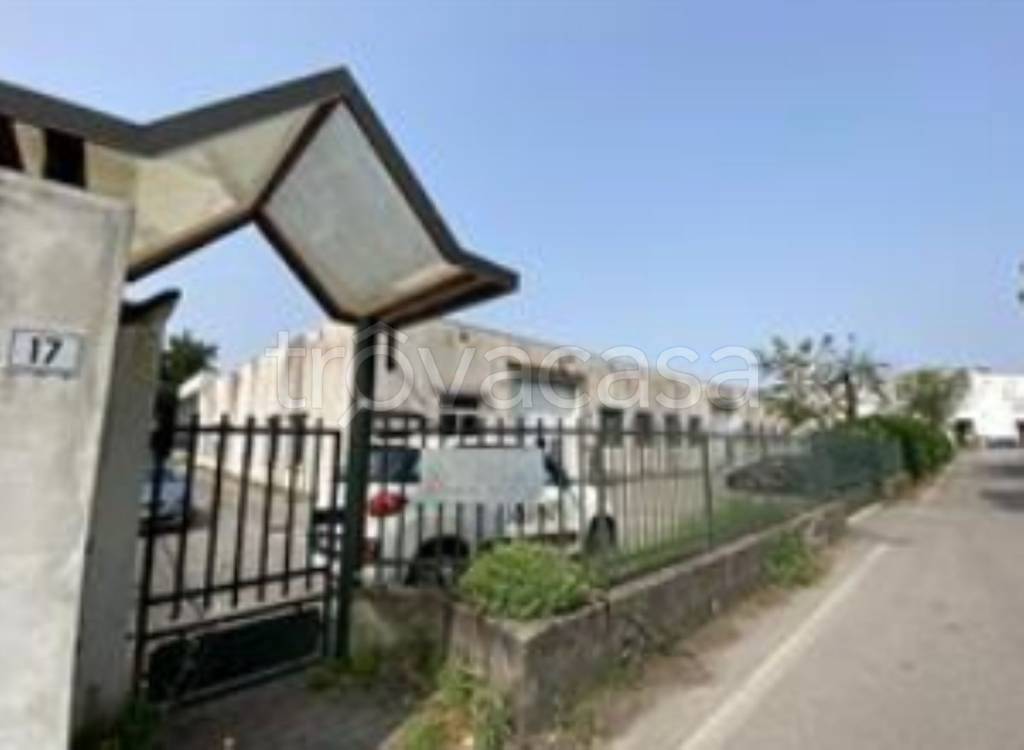 immagine annuncio 3 di 11