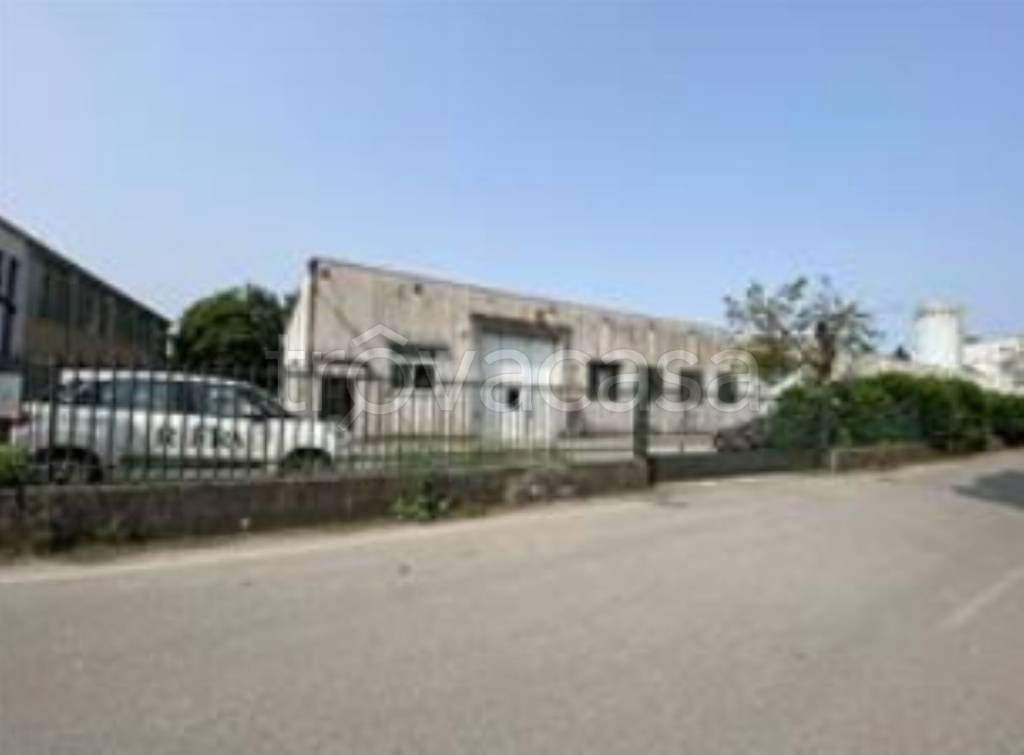 immagine annuncio 6 di 11