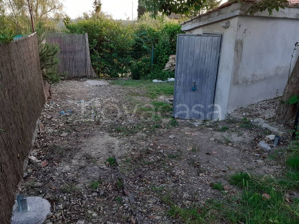 immagine annuncio 5 di 11