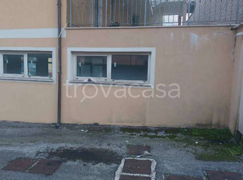 immagine annuncio 5 di 12