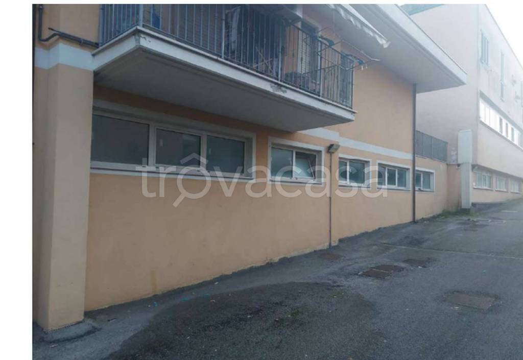 immagine annuncio 6 di 12