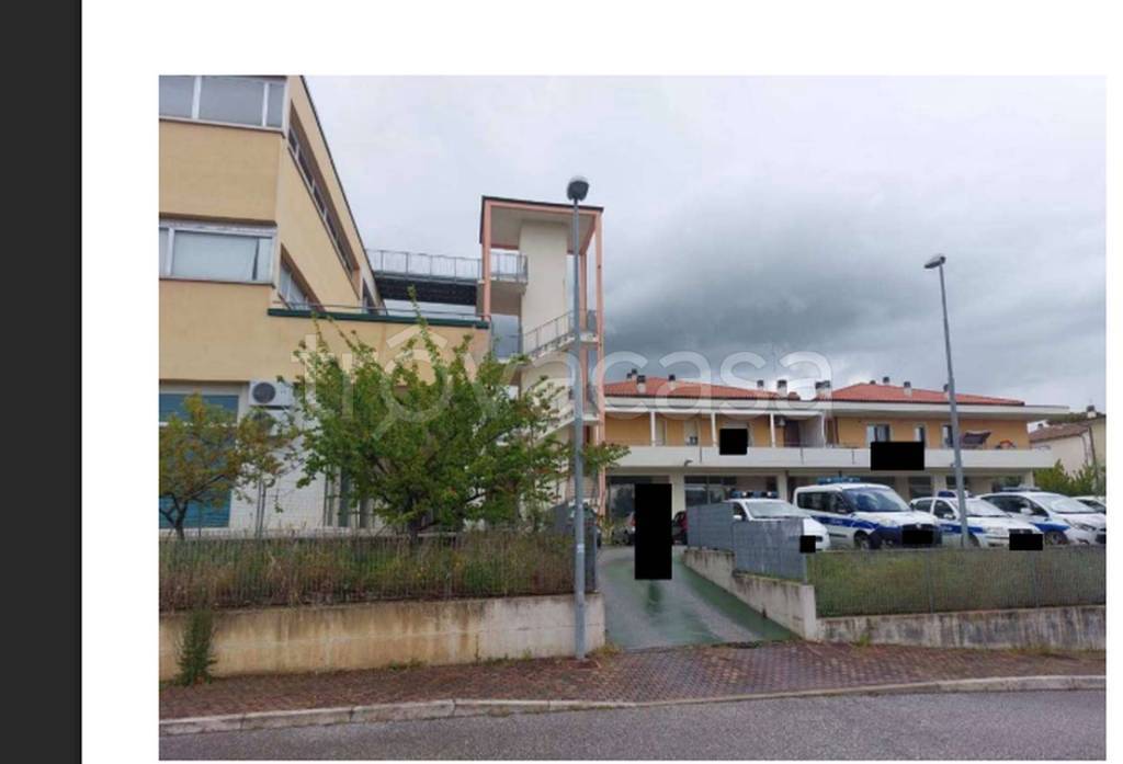 immagine annuncio 9 di 12