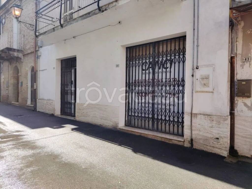 immagine annuncio 12 di 14