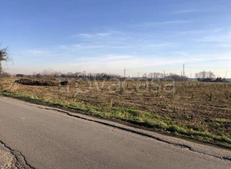 immagine annuncio 3 di 14