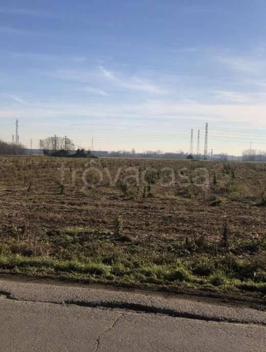 immagine annuncio 4 di 14