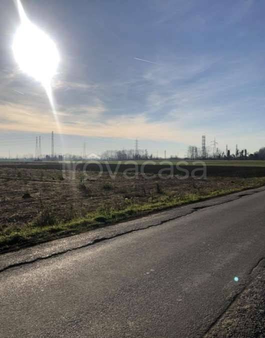 immagine annuncio 7 di 14