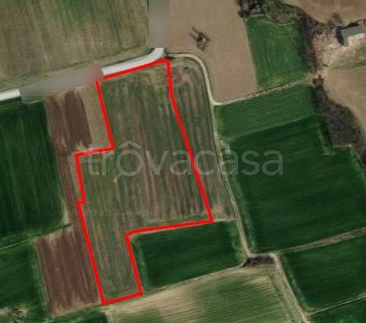 immagine annuncio 8 di 14