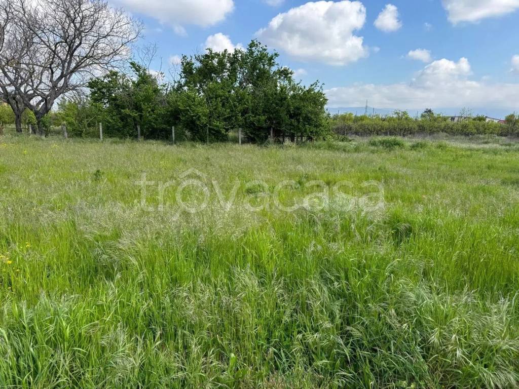 immagine annuncio 3 di 11