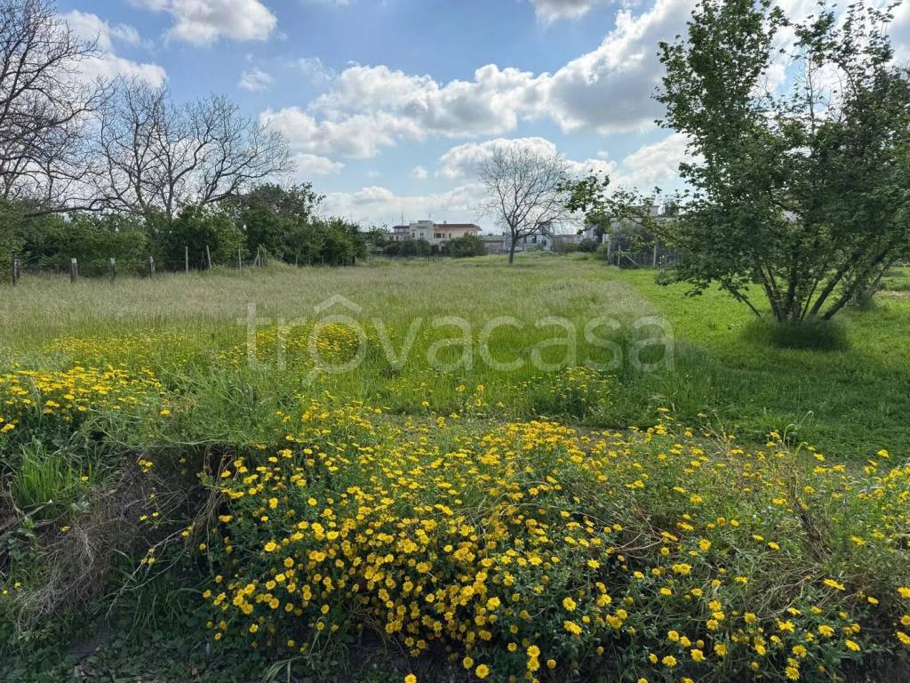 immagine annuncio 5 di 11