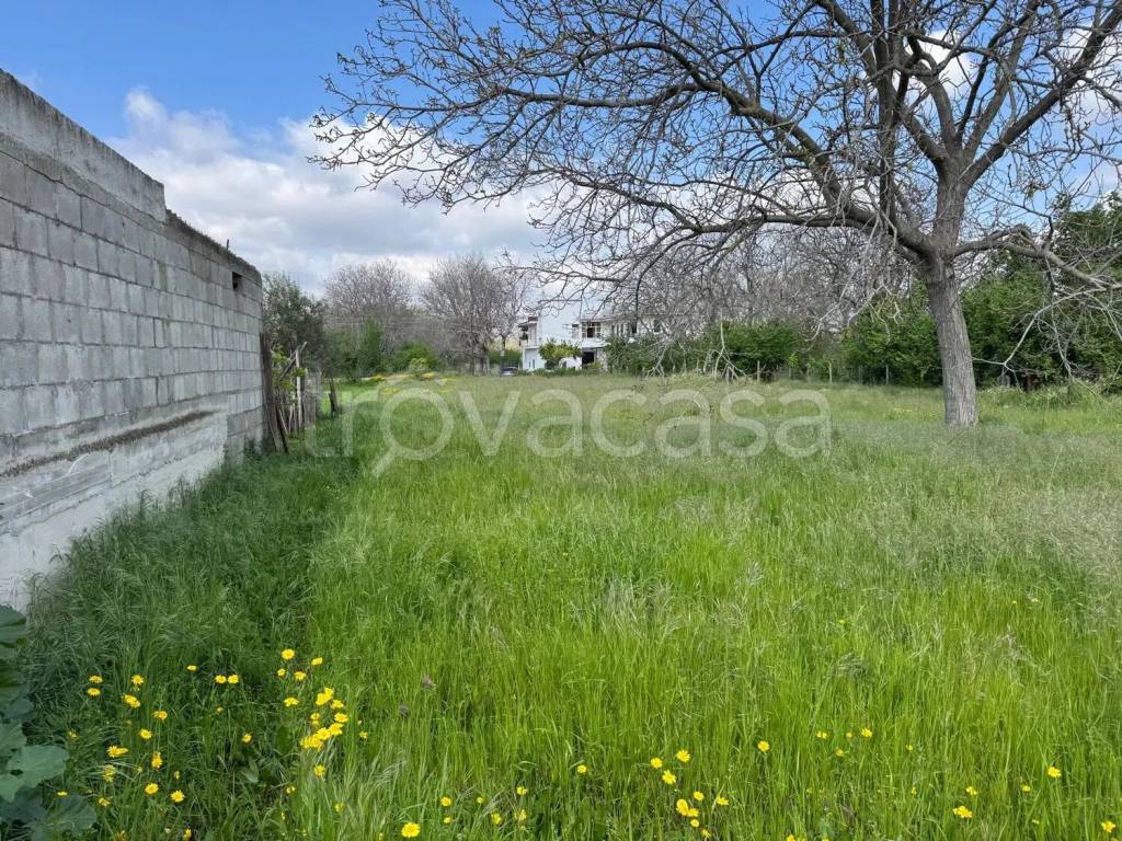 immagine annuncio 8 di 11