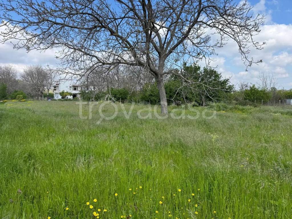 immagine annuncio 9 di 11