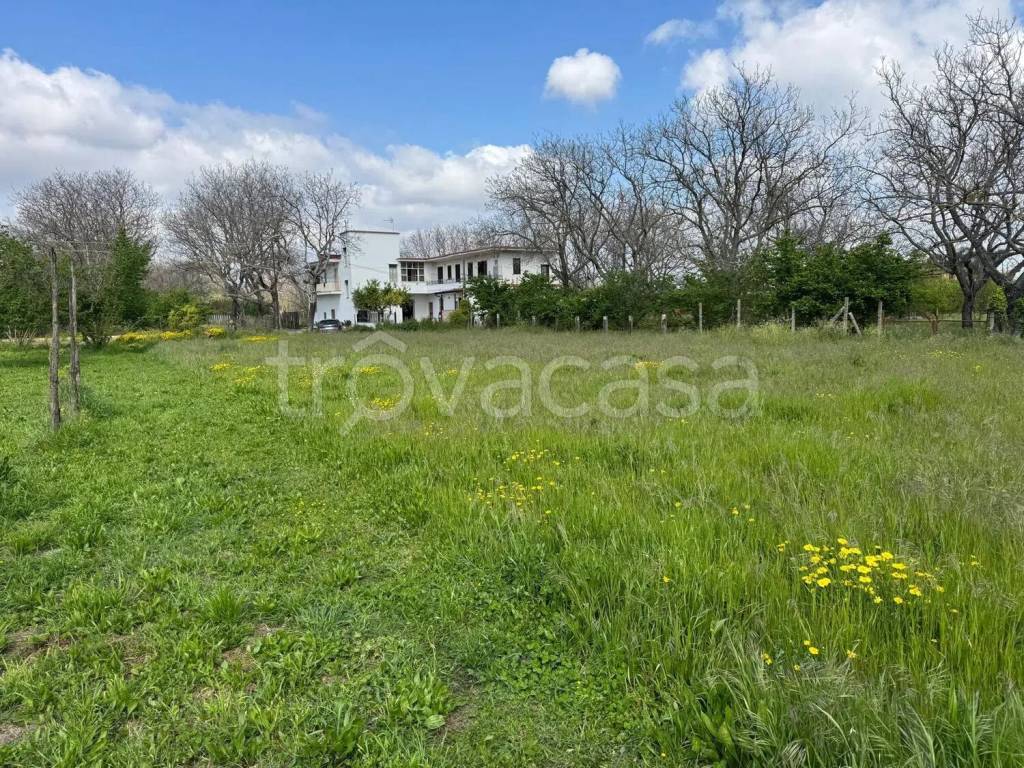 immagine annuncio 10 di 11