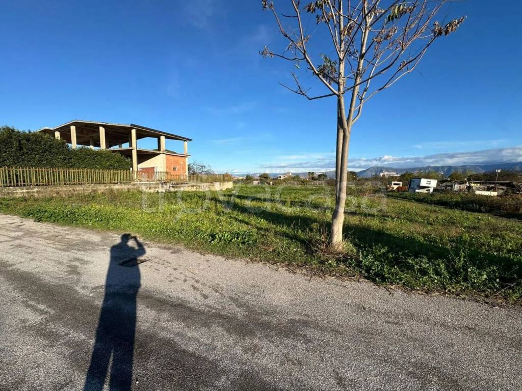 immagine annuncio 3 di 12