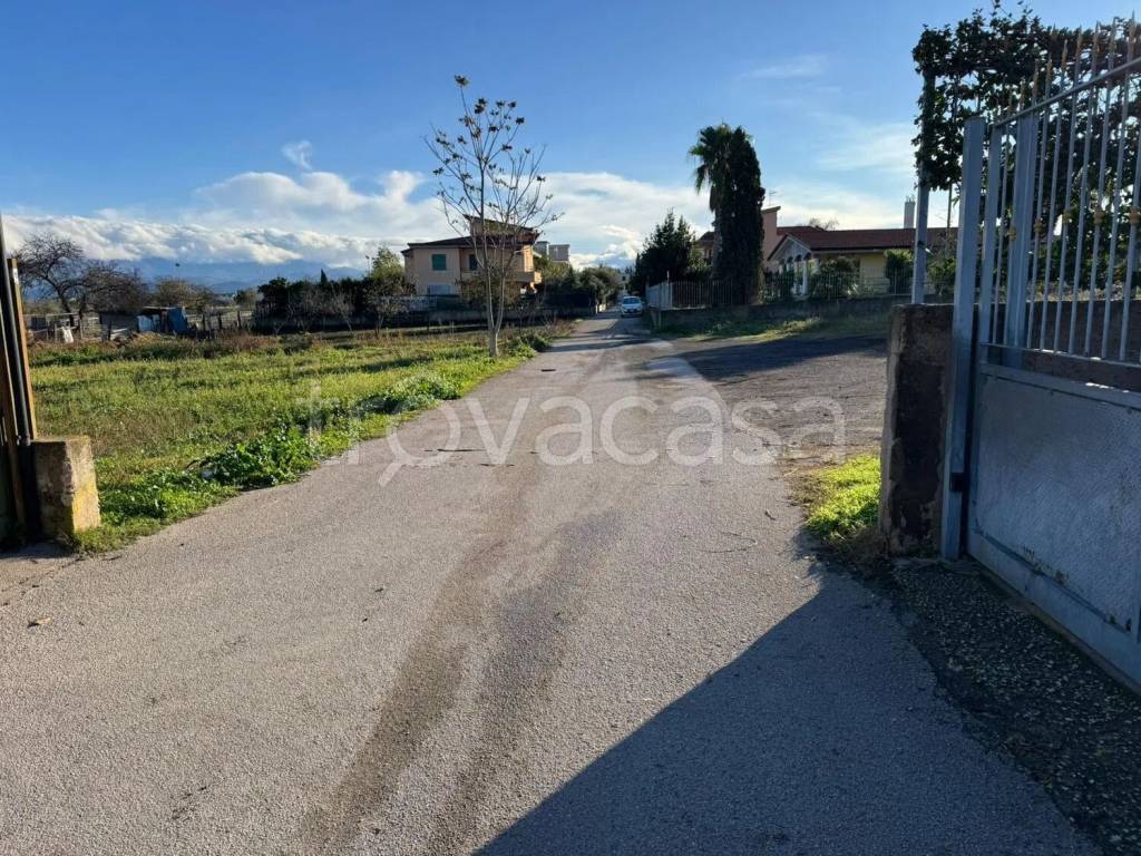 immagine annuncio 5 di 12