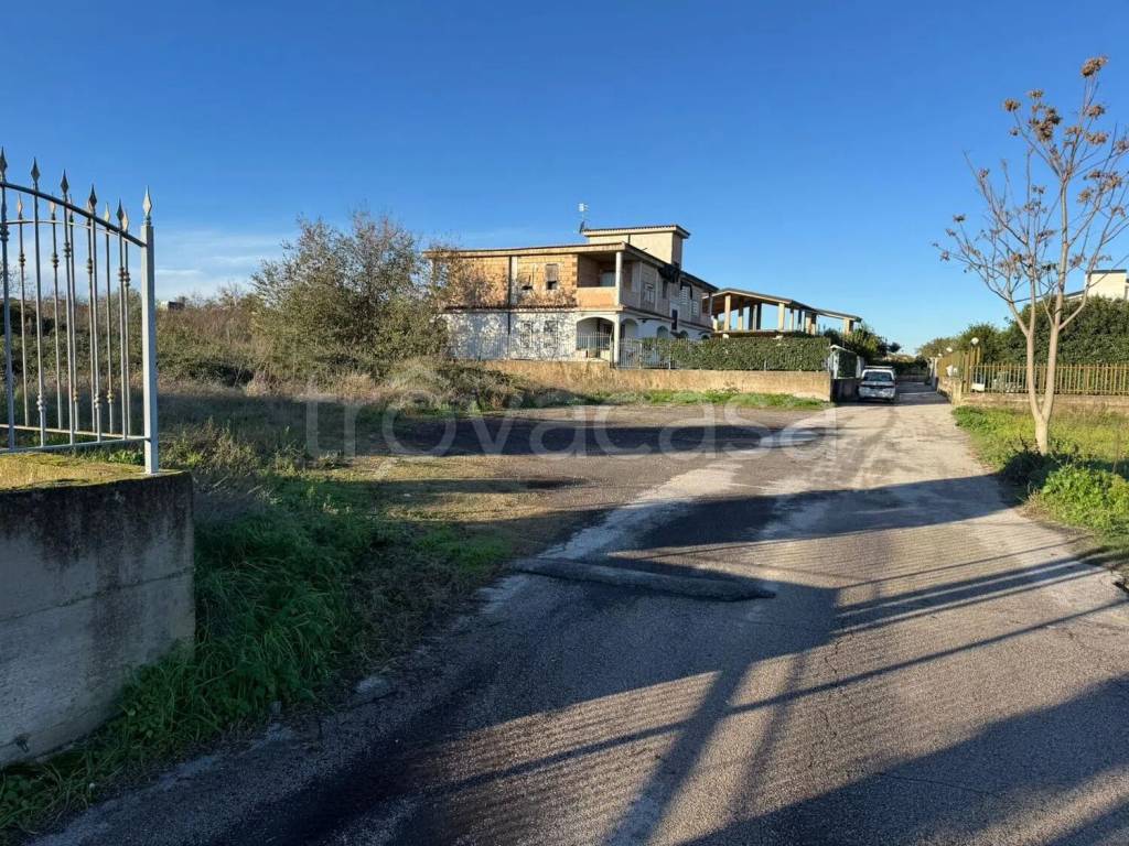 immagine annuncio 6 di 12