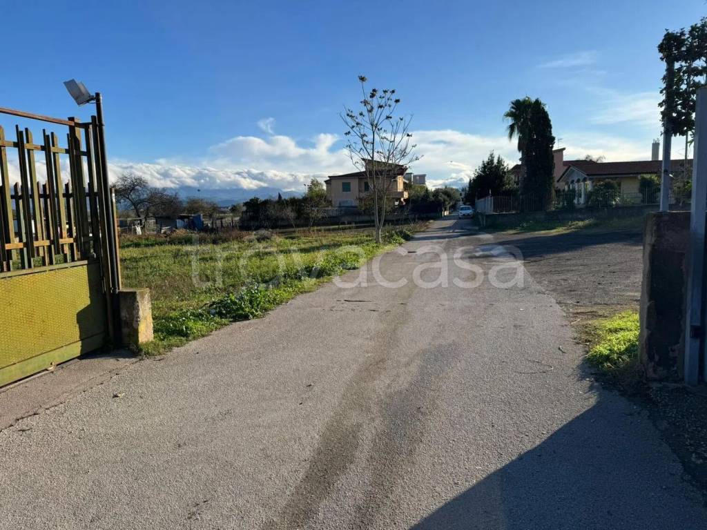 immagine annuncio 9 di 12