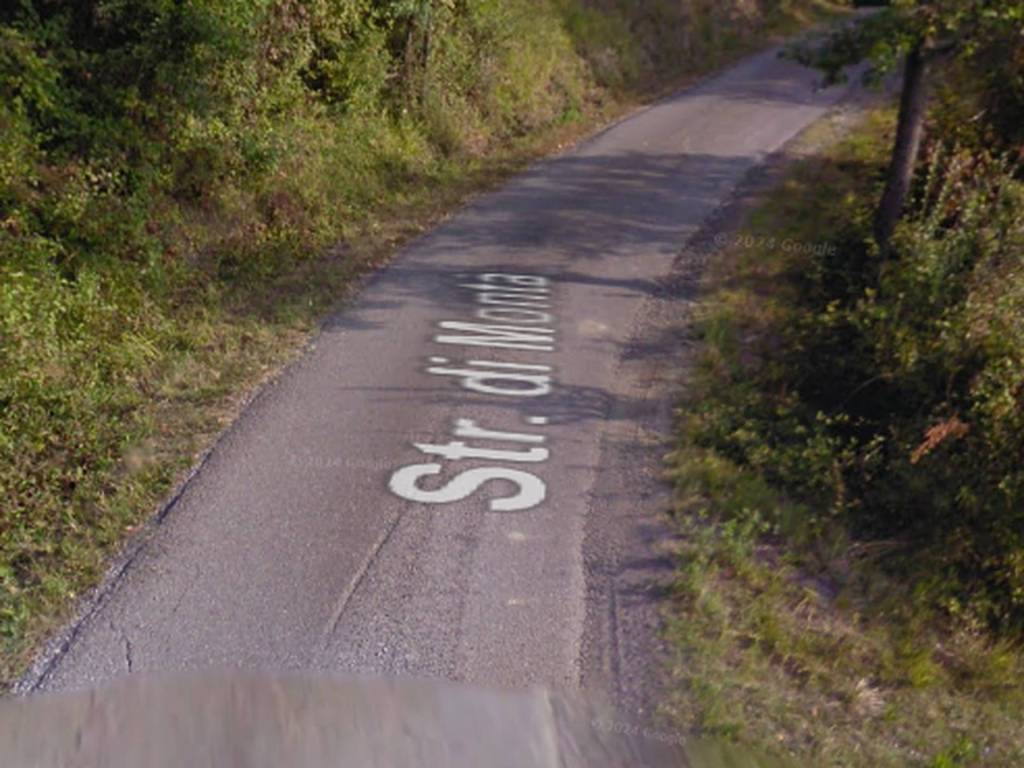 immagine annuncio 11 di 14