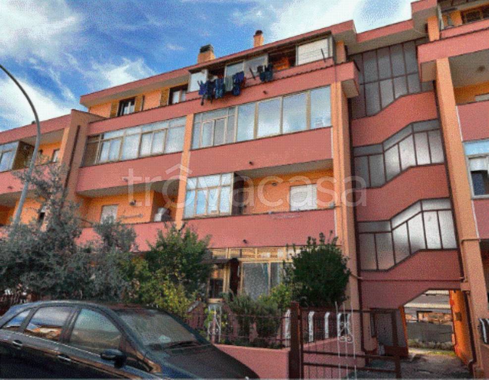 immagine annuncio 11 di 12