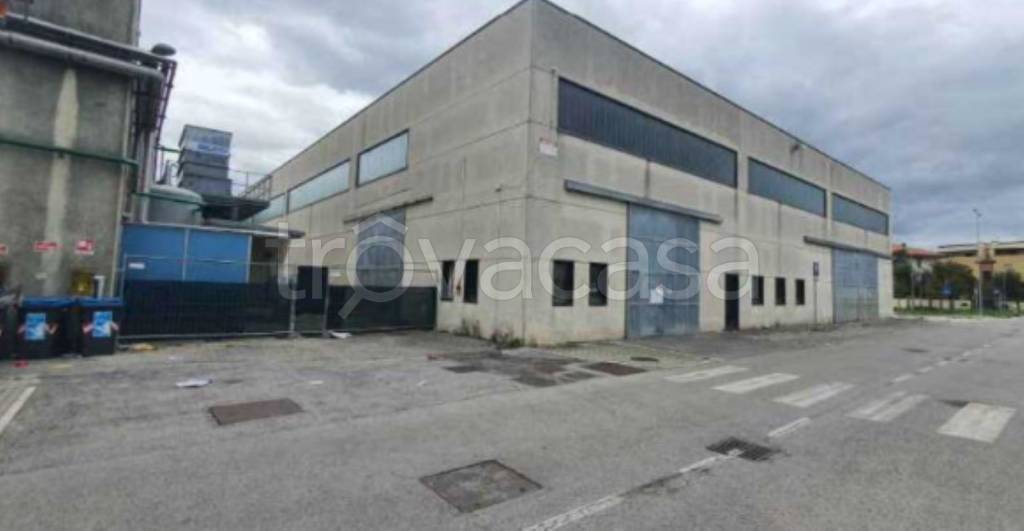 immagine annuncio 4 di 11