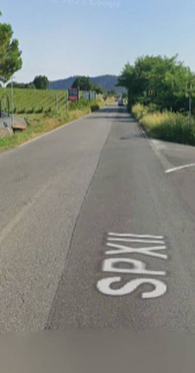 immagine annuncio 5 di 12