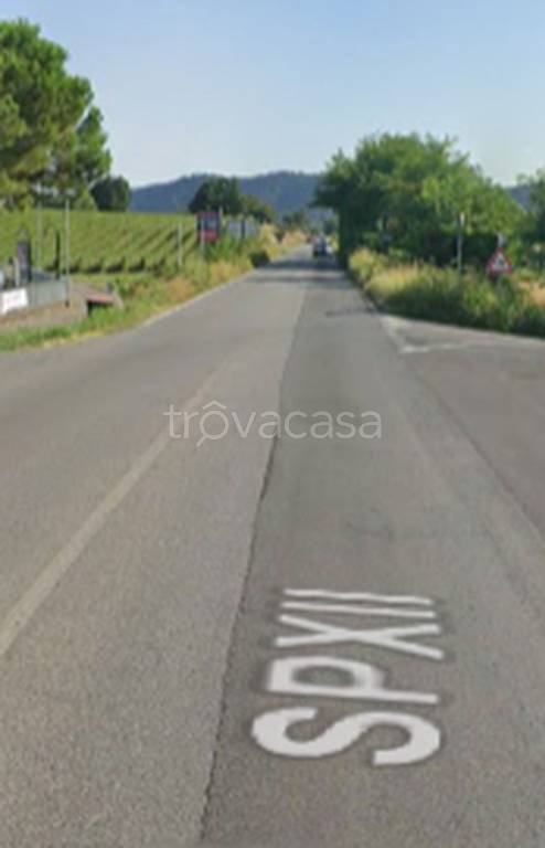 immagine annuncio 6 di 12