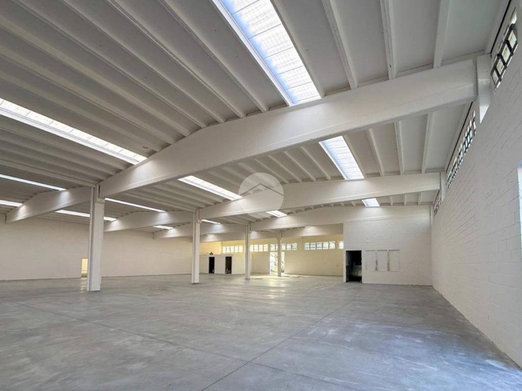 immagine annuncio 9 di 13