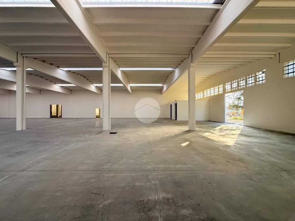 immagine annuncio 10 di 13