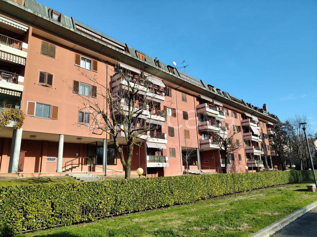 immagine annuncio 1 di 15