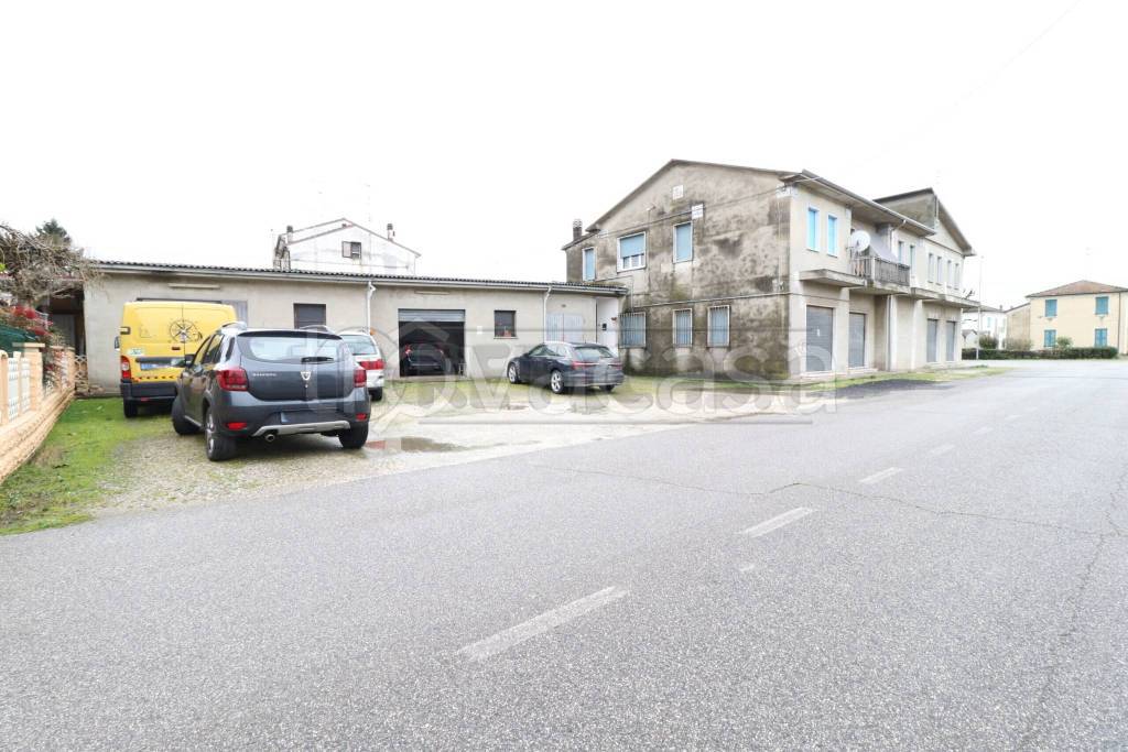 immagine annuncio 2 di 12