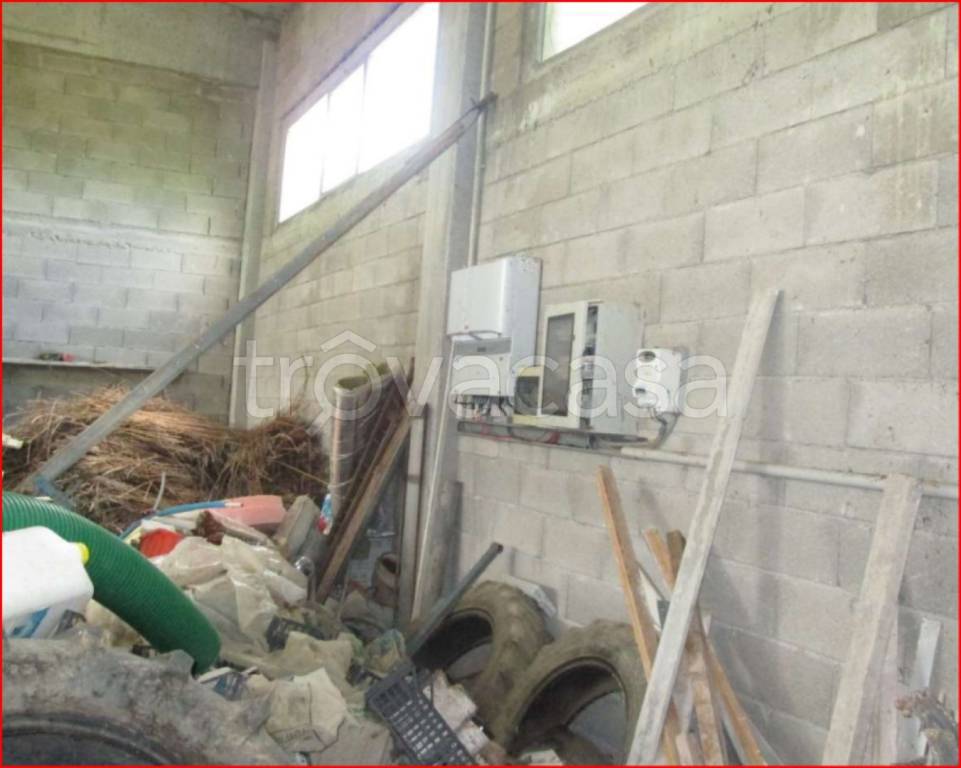 immagine annuncio 2 di 11