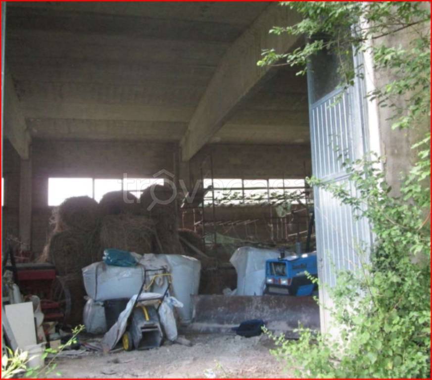 immagine annuncio 6 di 11