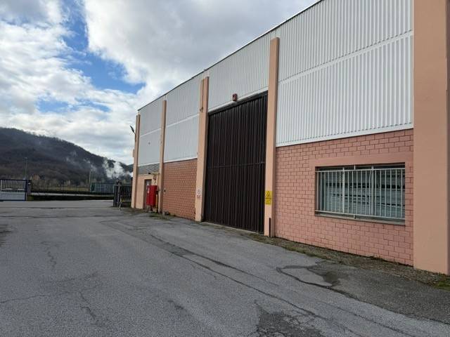 immagine annuncio 6 di 9