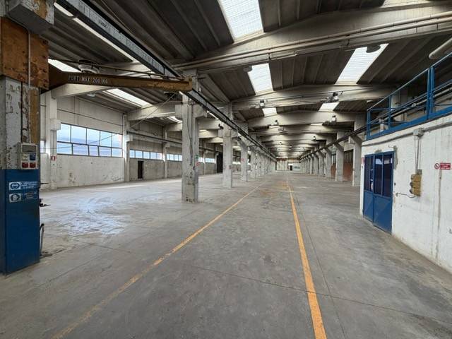 immagine annuncio 3 di 9