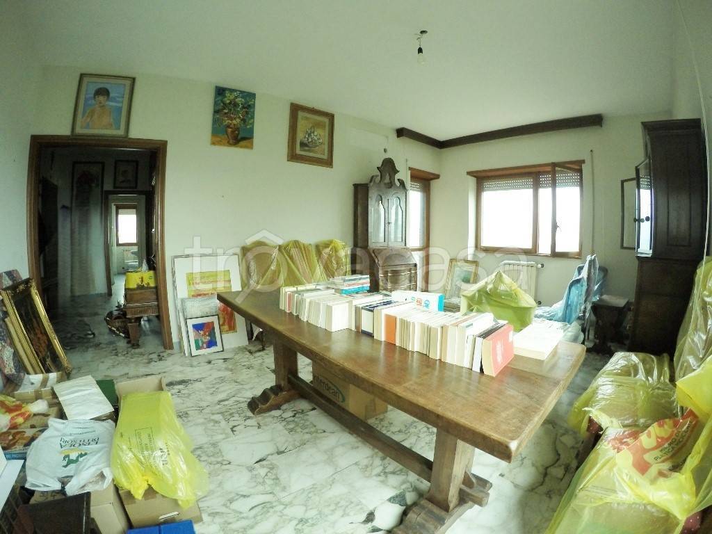 immagine annuncio 3 di 14