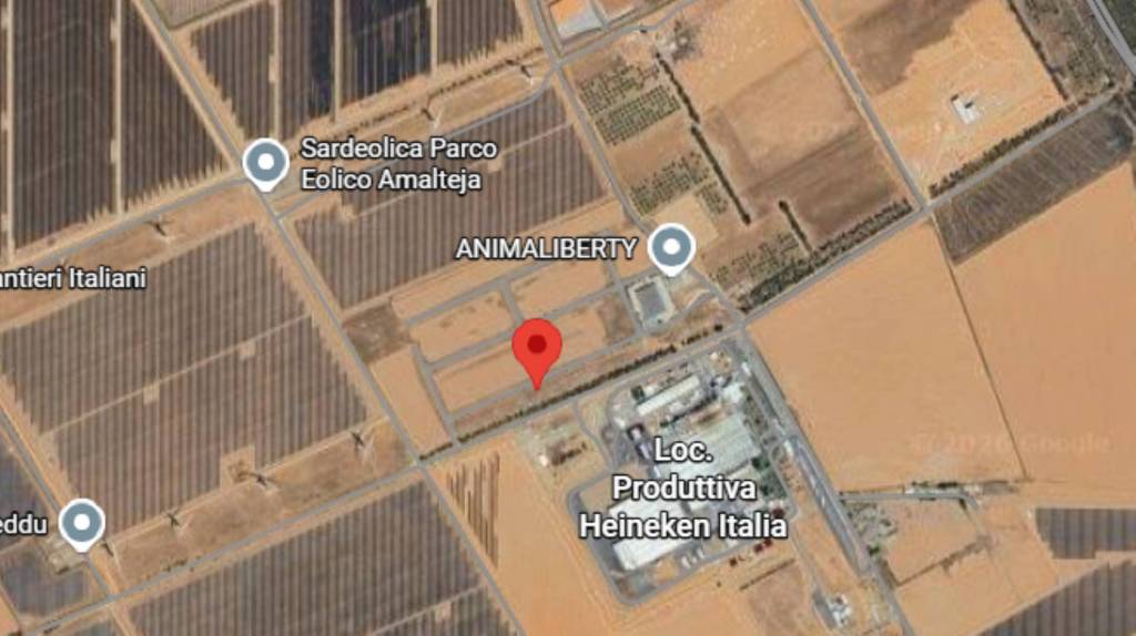 immagine annuncio 1 di 13