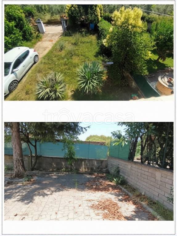 immagine annuncio 2 di 3