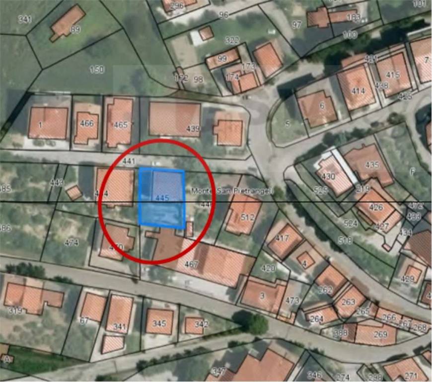 immagine annuncio 8 di 15