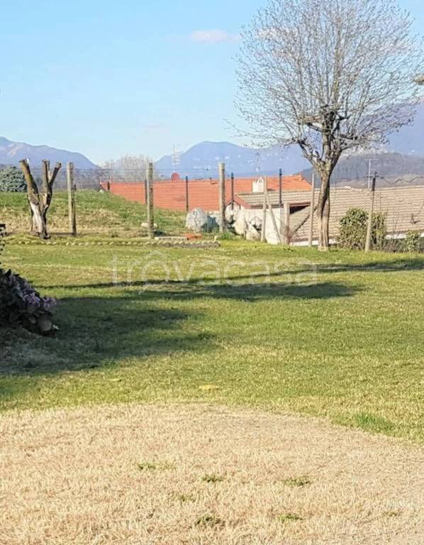 immagine annuncio 2 di 4