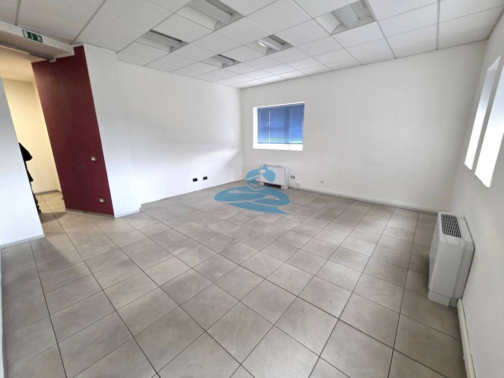 immagine annuncio 2 di 6