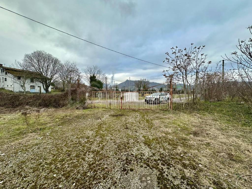 immagine annuncio 3 di 8