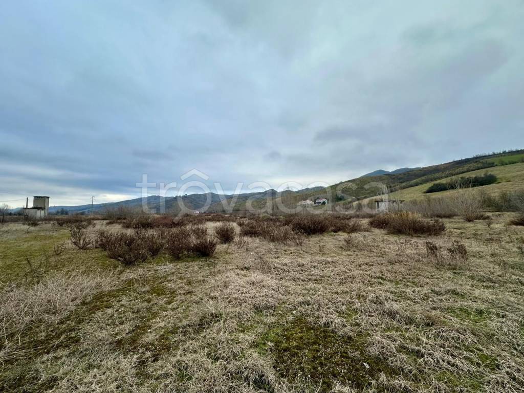 immagine annuncio 6 di 8