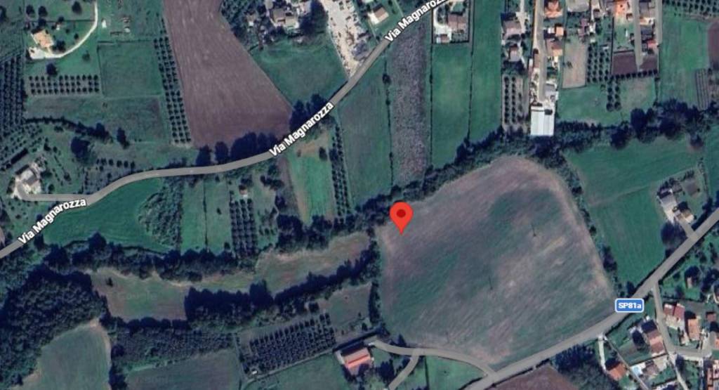 immagine annuncio 11 di 12