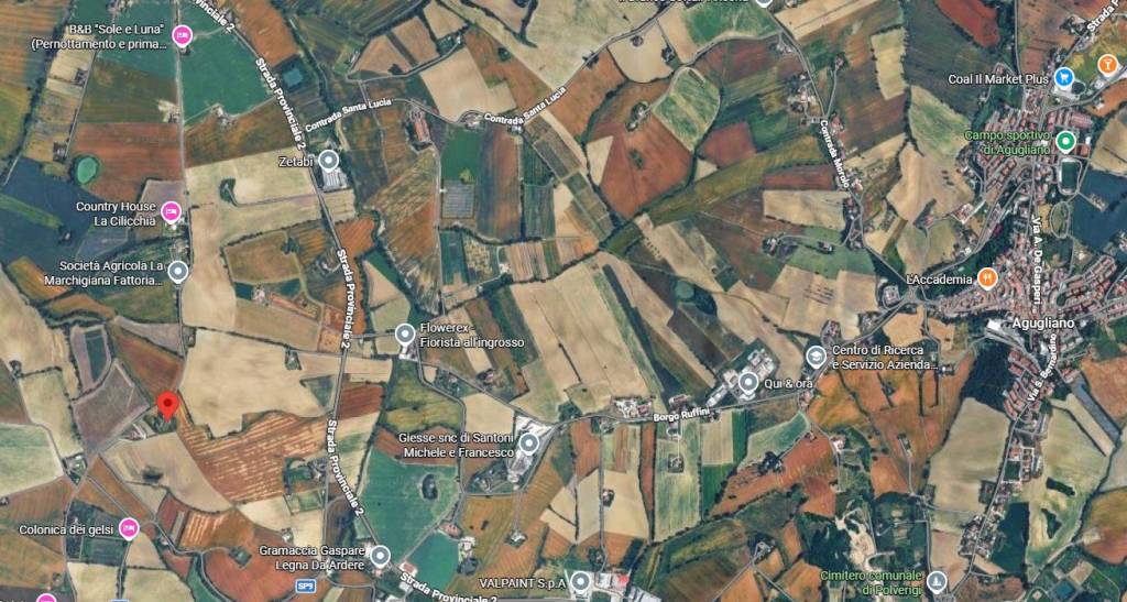 immagine annuncio 1 di 10